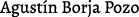 Polygon