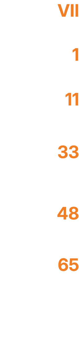 VII 1 11 33 48 65