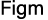 Figm