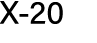 X 20